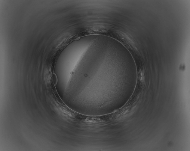 X0000093610915200710221604