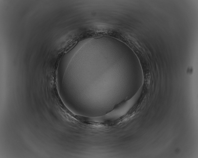 X0000093610916200710221604