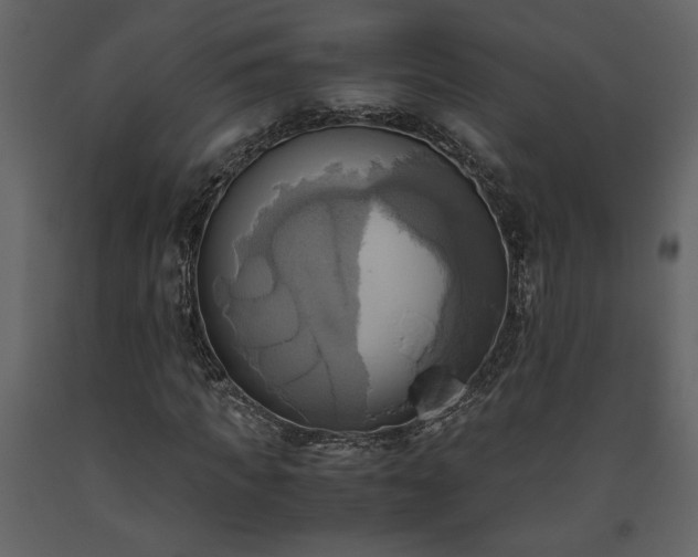 X0000093610917200710221604