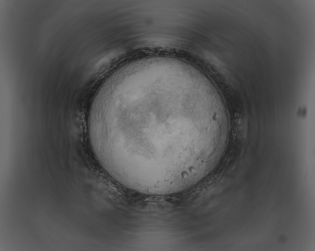 X0000093610918200710221604