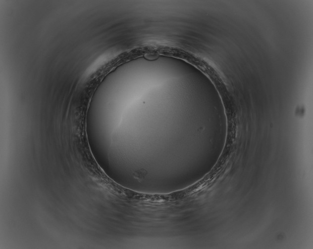 X0000093610919200710221604