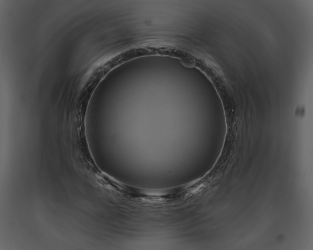X0000093610920200710221604