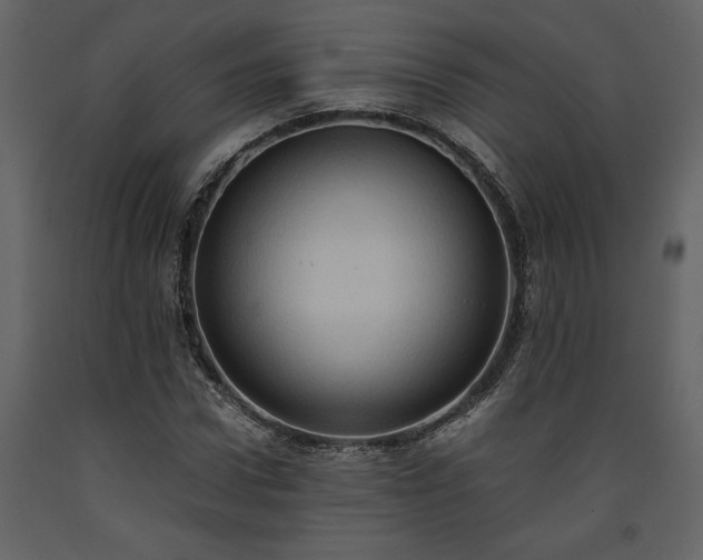 X0000093610922200710221604