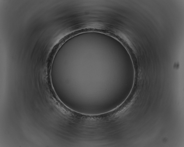 X0000093610923200710221604