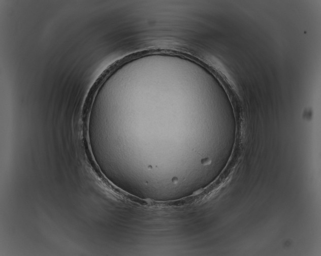 X0000093610924200710221604