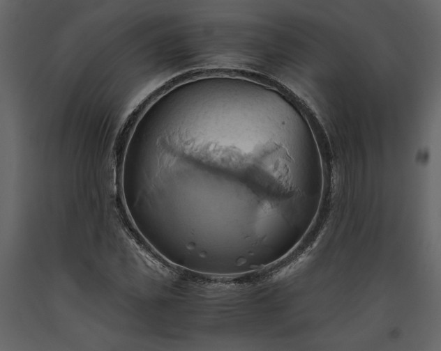 X0000093610925200710221604