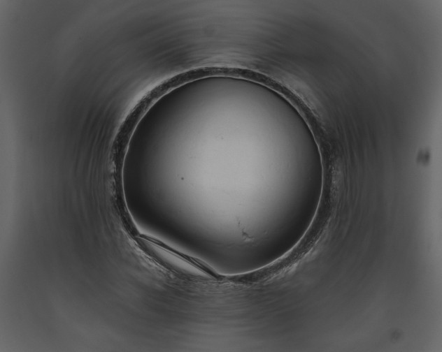 X0000093610926200710221604