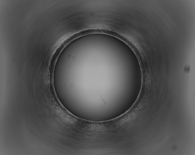 X0000093610927200710221604