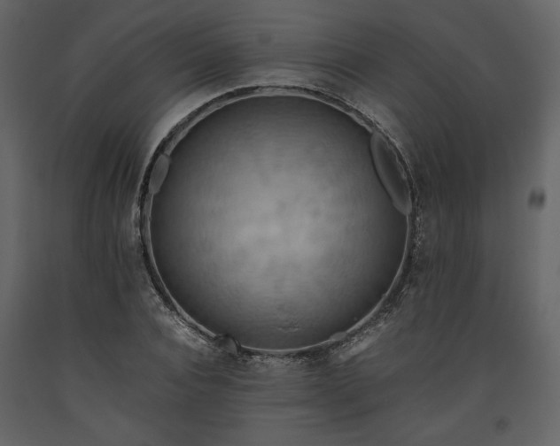 X0000093610928200710221604