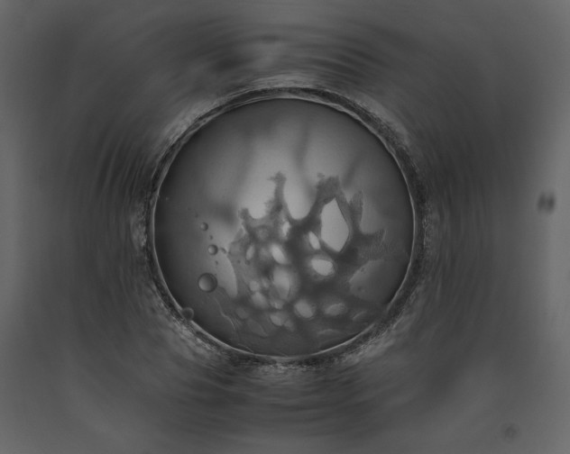 X0000093610929200710221604