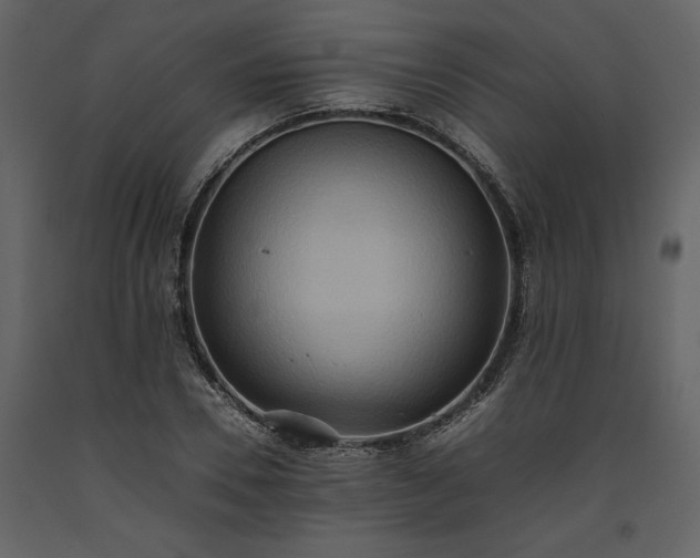 X0000093610930200710221604