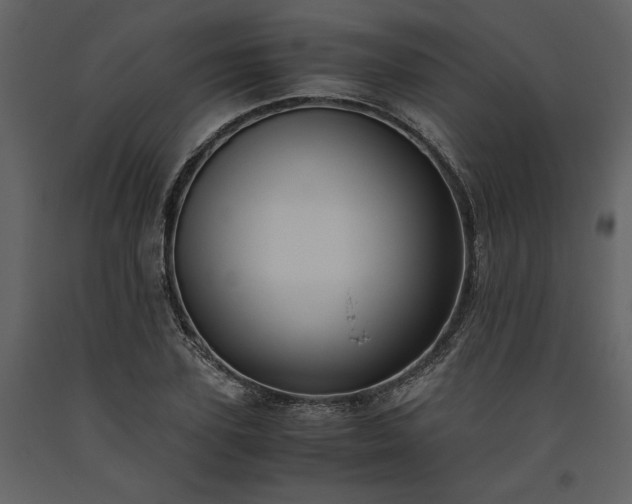 X0000093610931200710221604