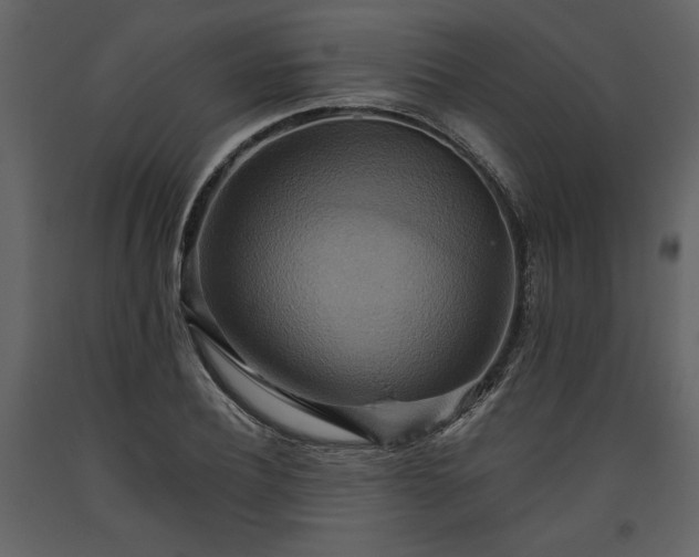 X0000093610932200710221604