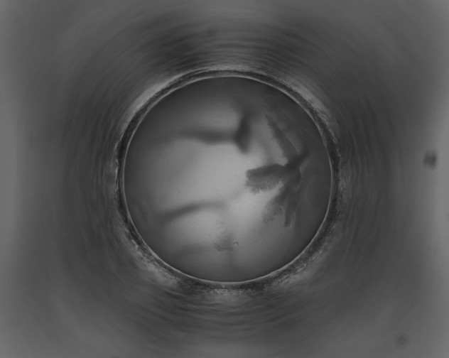 X0000093610933200710221604