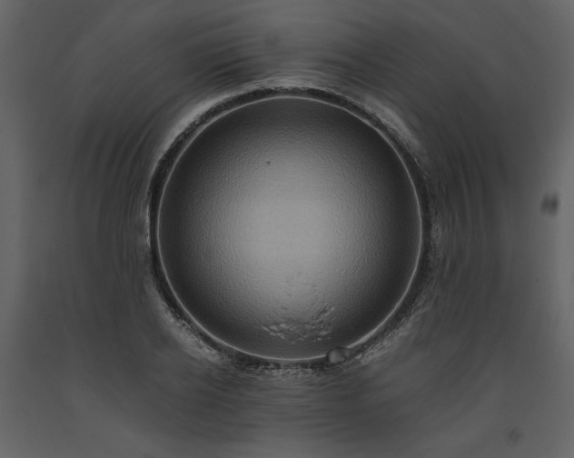 X0000093610934200710221604