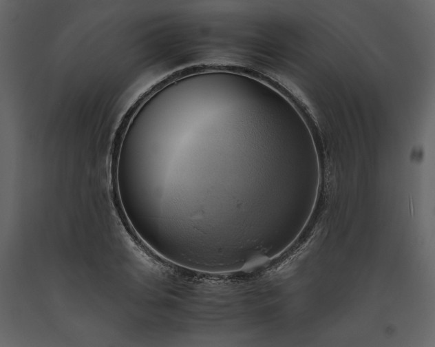 X0000093610935200710221604