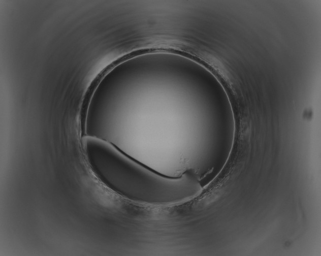 X0000093610936200710221604