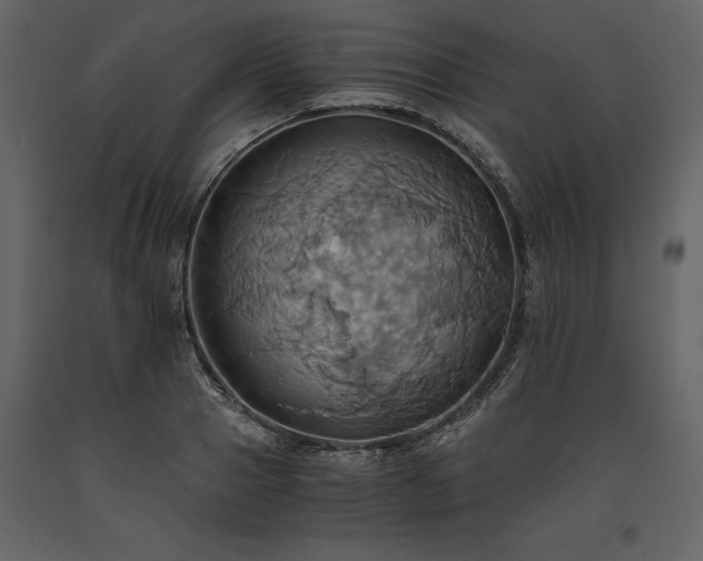 X0000093610937200710221604