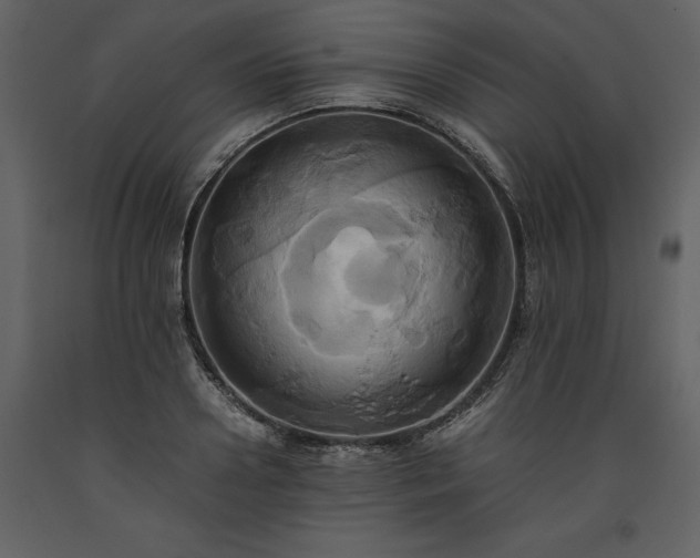 X0000093610938200710221604