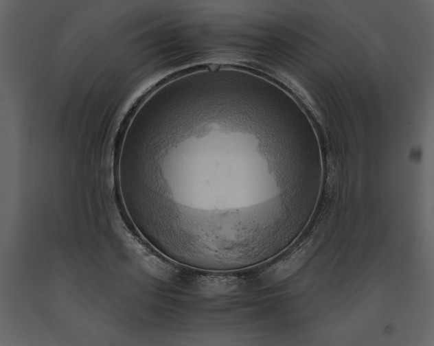 X0000093610939200710221604
