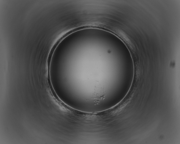 X0000093610940200710221604