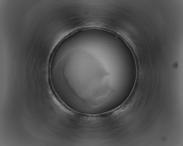 X0000093610941200710221604