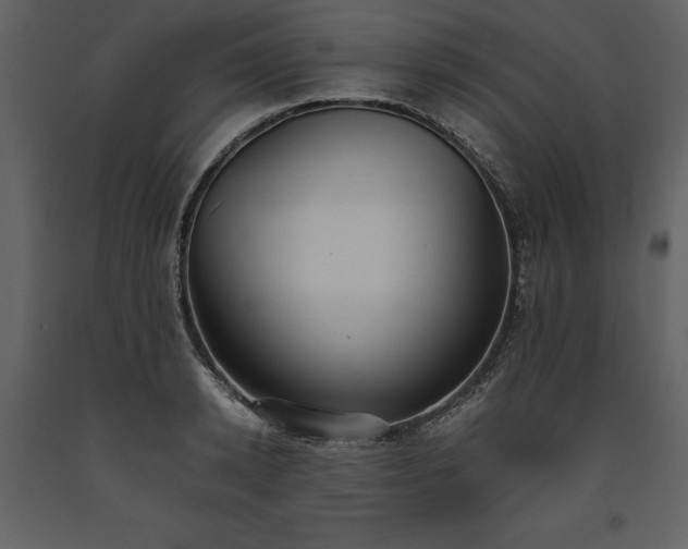 X0000093610942200710221604