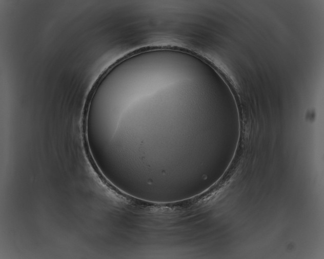 X0000093610943200710221604