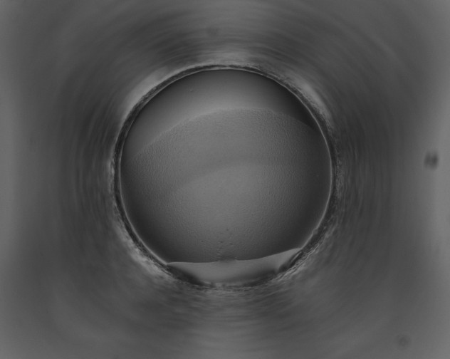 X0000093610944200710221604
