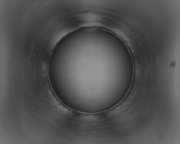 X0000093610945200710221604