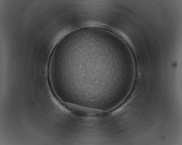 X0000093610946200710221604