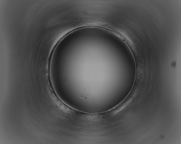 X0000093610948200710221604