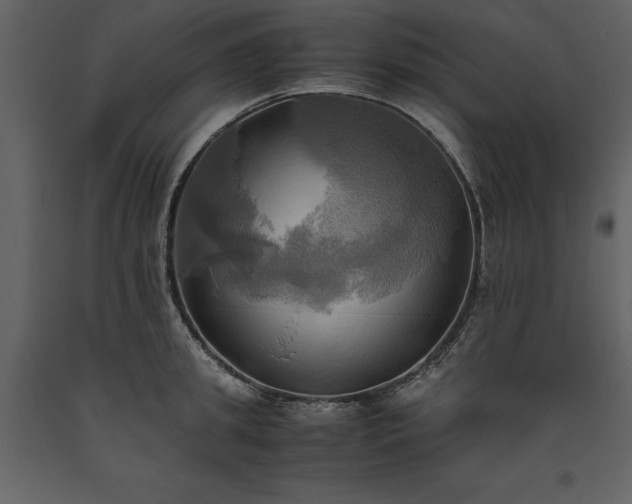X0000093610949200710221604