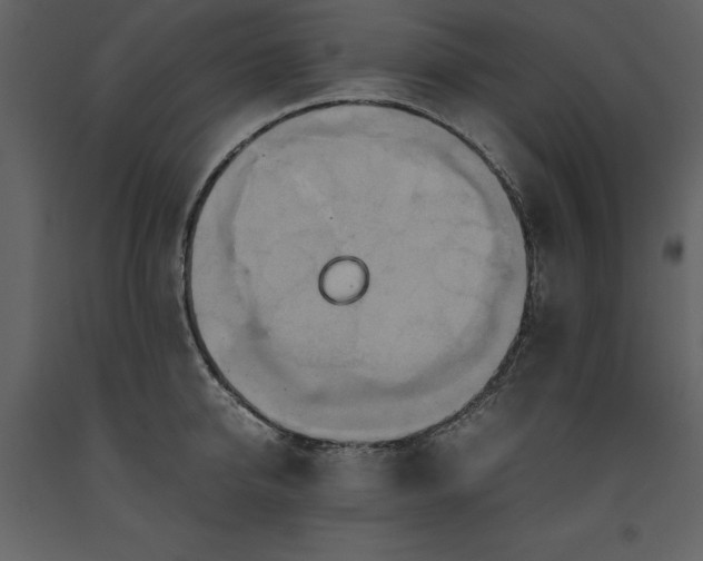 X0000093610950200710221604