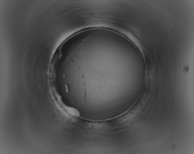X0000093610951200710221604