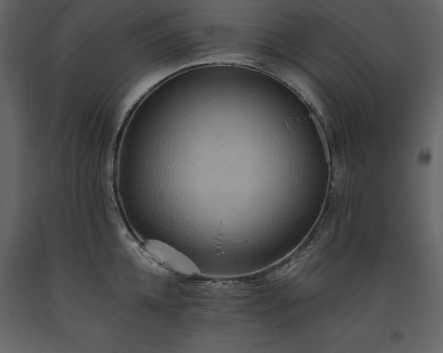 X0000093610952200710221604