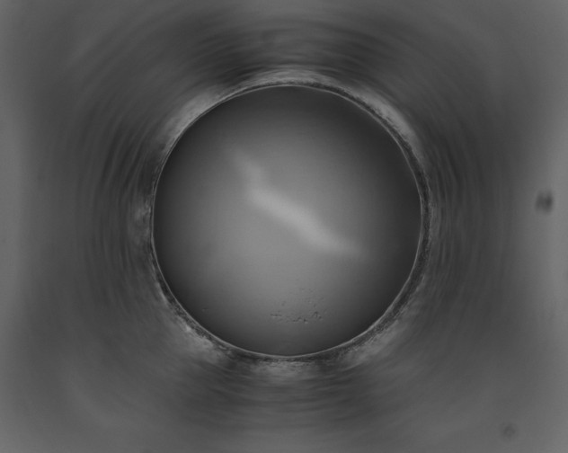 X0000093610953200710221604