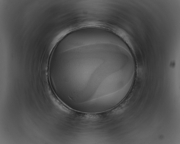 X0000093610954200710221604