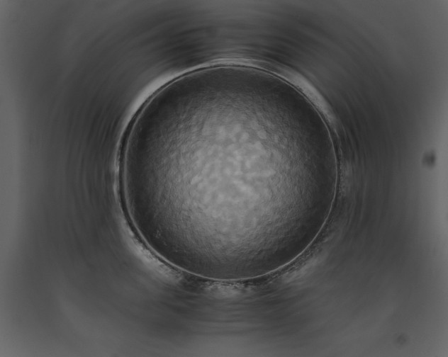 X0000093610955200710221604