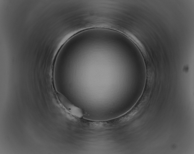 X0000093610956200710221604