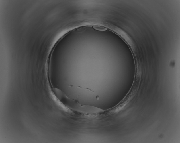 X0000093610958200710221604