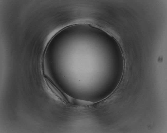 X0000093610960200710221604
