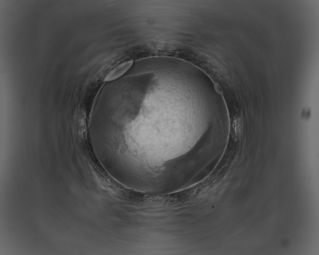 X0000093610963200710221603