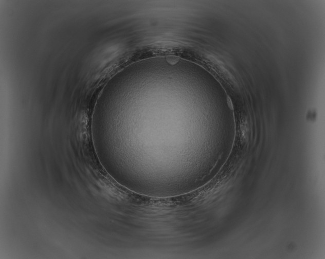 X0000093610964200710221603