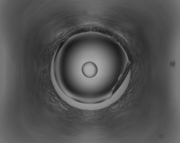 X0000093610965200710221603