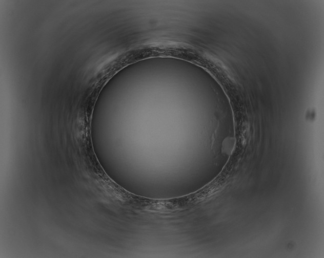 X0000093610966200710221603