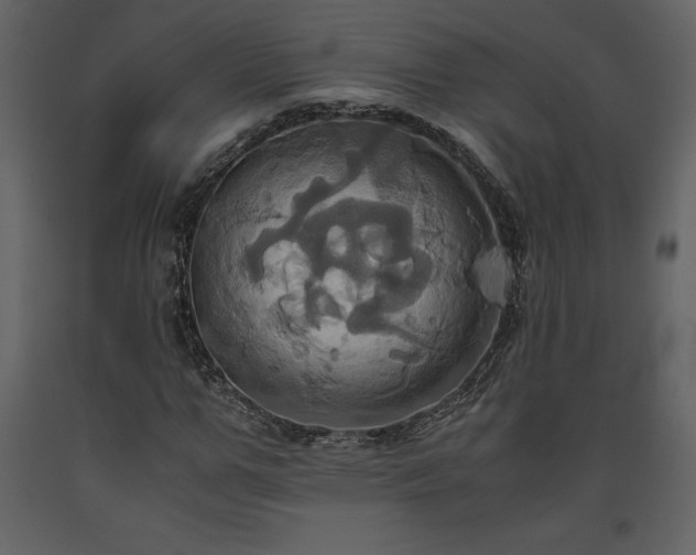 X0000093610967200710221603
