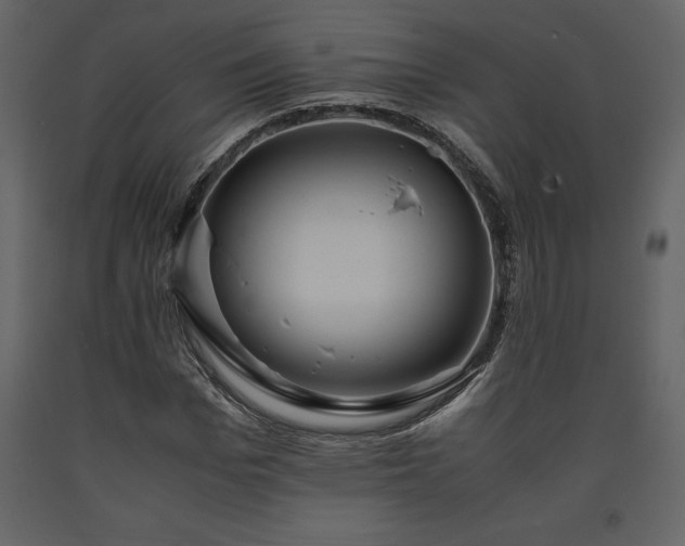X0000093610969200710221603