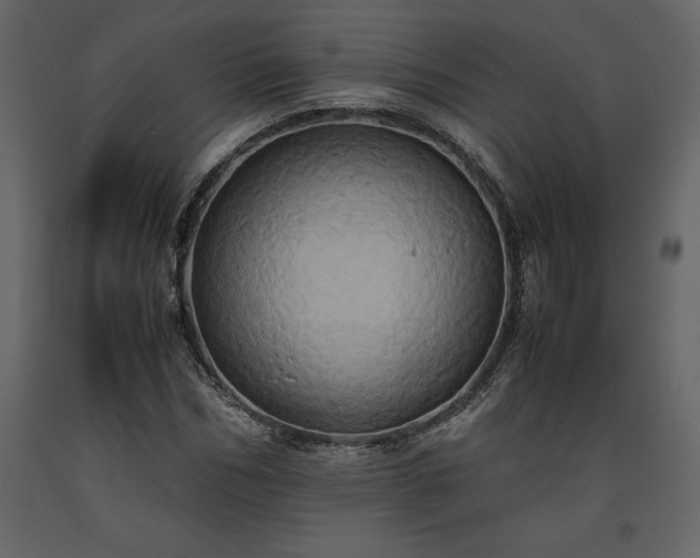 X0000093610970200710221603