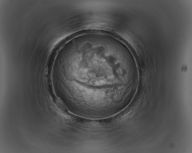 X0000093610971200710221603